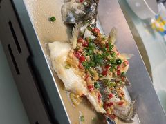 -华南师范大学石牌校区陶园