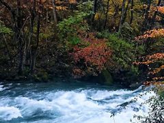 -叠溪松坪沟景区