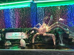 -無招牌海鮮(芽笼店)