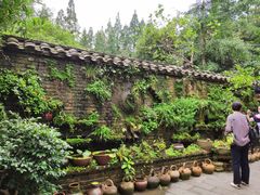 -青城甲(青城山店)