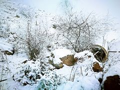 -太子岭滑雪场