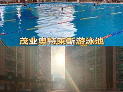 -宝安体育馆游泳馆