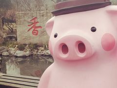-香雪海