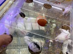 -万达茂商场(南京仙林店)