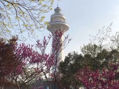 -渡海小渔村.老辈日照菜