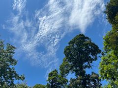 -龙苍沟森林公园