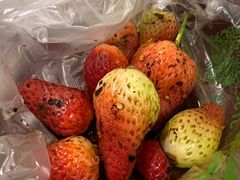 -雪儿钱局泡菜