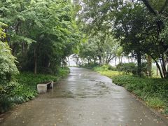 -长广溪湿地公园