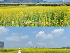 -光明小镇欢乐田园