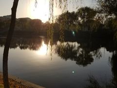 -泰州凤城河风景区-泰山公园