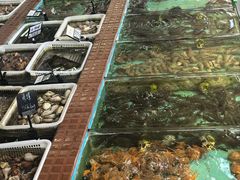 -景好海鲜餐厅(大鹏必选旅游店)