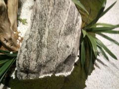 -蜜桃餐厅·伴山(湖滨商业街店)