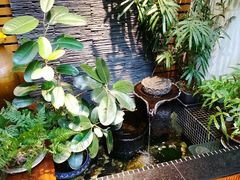 -广益饭店·云南菜·传统滇菜(翠湖北门书屋店)