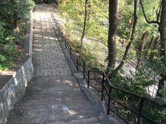 -上海佘山国家森林公园西佘山园