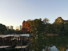 -荔湾湖公园