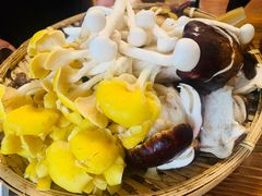 -菌极鲜野生菌火锅店(阳明祠店)