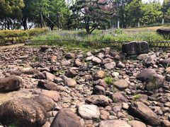 -白塘生态植物园