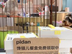 -1013 PET SHOP 宠物商店(近铁城市广场店)