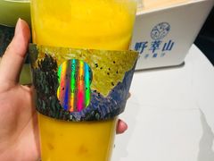 -野萃山·潮汕厚果汁(十亩地店)