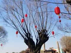 -南通洲际绿博园