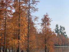 -三圣花乡旅游区