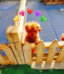 -萌宠亲子动物乐园(槐房万达店)