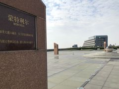 -南汇嘴观海公园