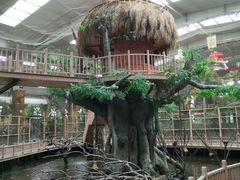 -南宫五洲植物乐园