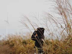 -东白山
