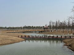 -春花秋色城市公园