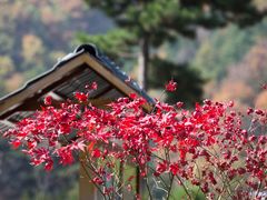 -洛阳白云山景区