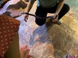 -酷嗒动物文化乐园(cutezoo西溪乐天城店)