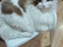 -白兔子密室(长寿路店)