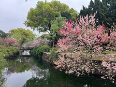 -无锡蠡湖国家湿地公园-蠡园