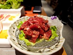 -杨小佳·齐齐哈尔烤肉·烤串(广州店)
