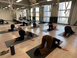 -羿刻互动·瑜伽雅集·瘦身·塑形