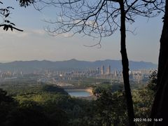 -大奇山国家森林公园