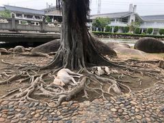 -云洞岩风景区