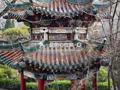 -洛阳市牡丹公园