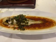 -上海宝华喜来登酒店·采悦轩中餐厅