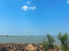 -吴淞炮台湾湿地森林公园烧烤区