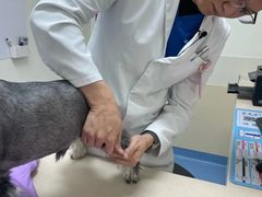 -全心全意动物诊疗中心医院(北苑店)