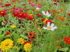 -辛亥革命博物院北区