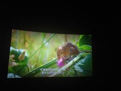 -幸福蓝海国际影城(烟台大悦城IMAX店)