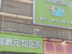 -瑞鹏宠物医院华南总院·夜诊·心脏科·骨科