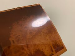 -柯达真美(老重庆中路店)