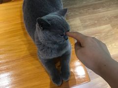 -ME觅妆·定制美妆·彩妆私教(菱角湖店)