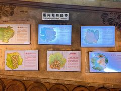 -青岛葡萄酒博物馆