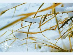 -蓟县盘山滑雪场