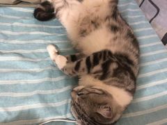 -心仪动物医院·牙专科·肿瘤·心脏科(西客站院)